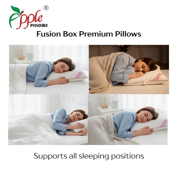 Fusion Box Premium Pillows (2)